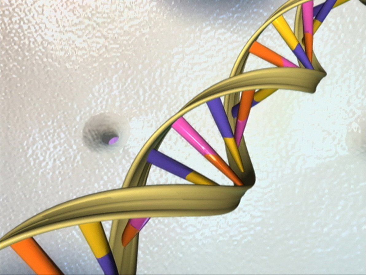 En visualisering av DNA-molekylens dubbelhelix.