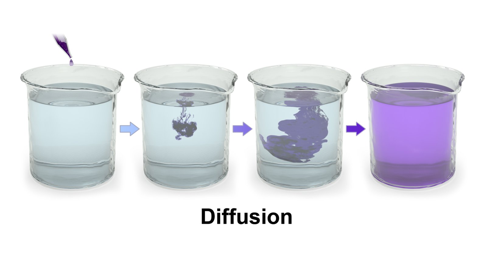 Diffusion