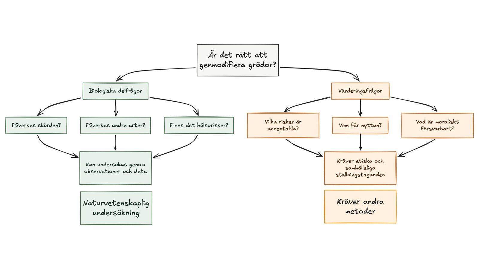 Flödesschema som delar frågan om det är rätt att genmodifiera grödor i biologiska delfrågor som kan undersökas med observationer och data samt värderingsfrågor som kräver etiska och samhälleliga ställningstaganden.