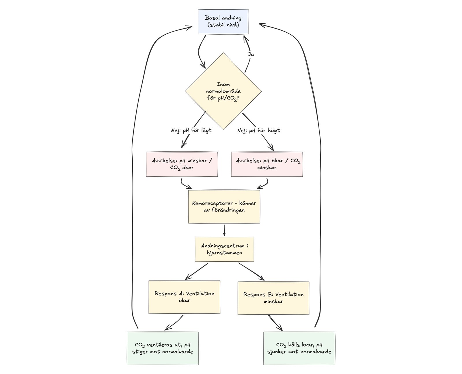 Diagram över negativ feedback