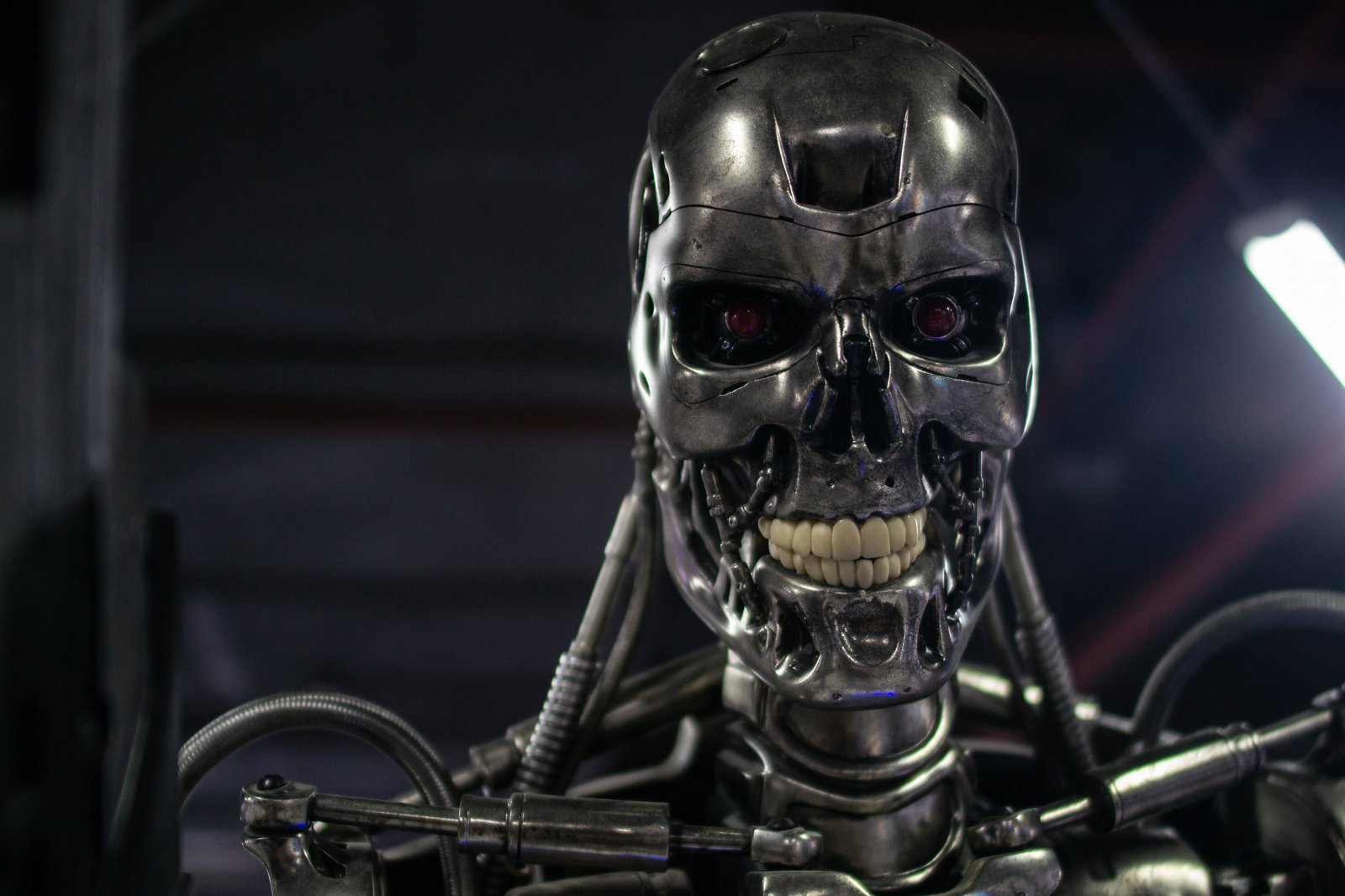 Ett metalliskt T-800-endoskelett från Terminator står på en utställning.