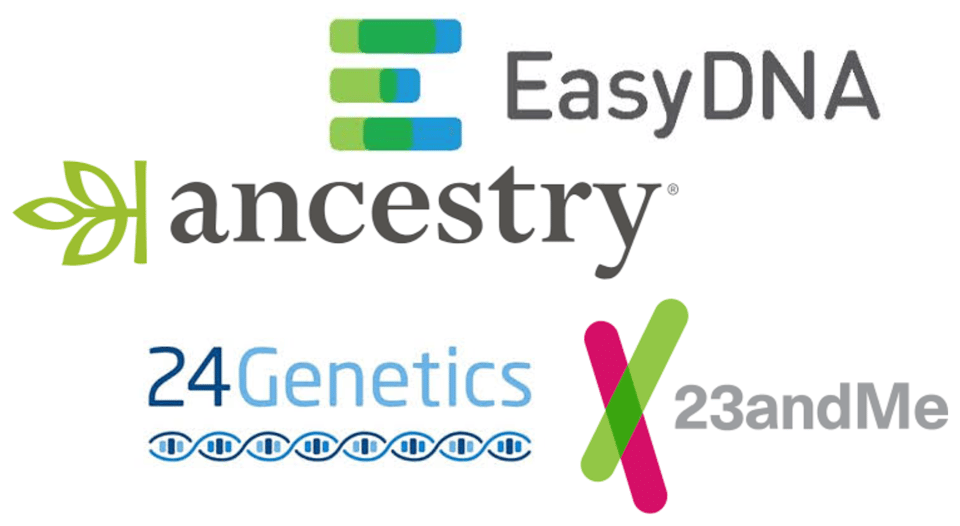 DNAanalys